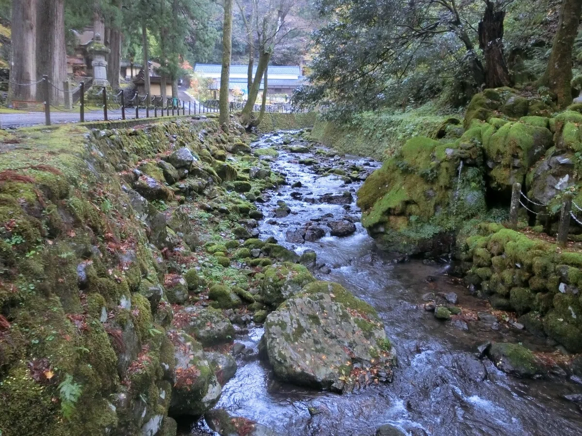 画像47