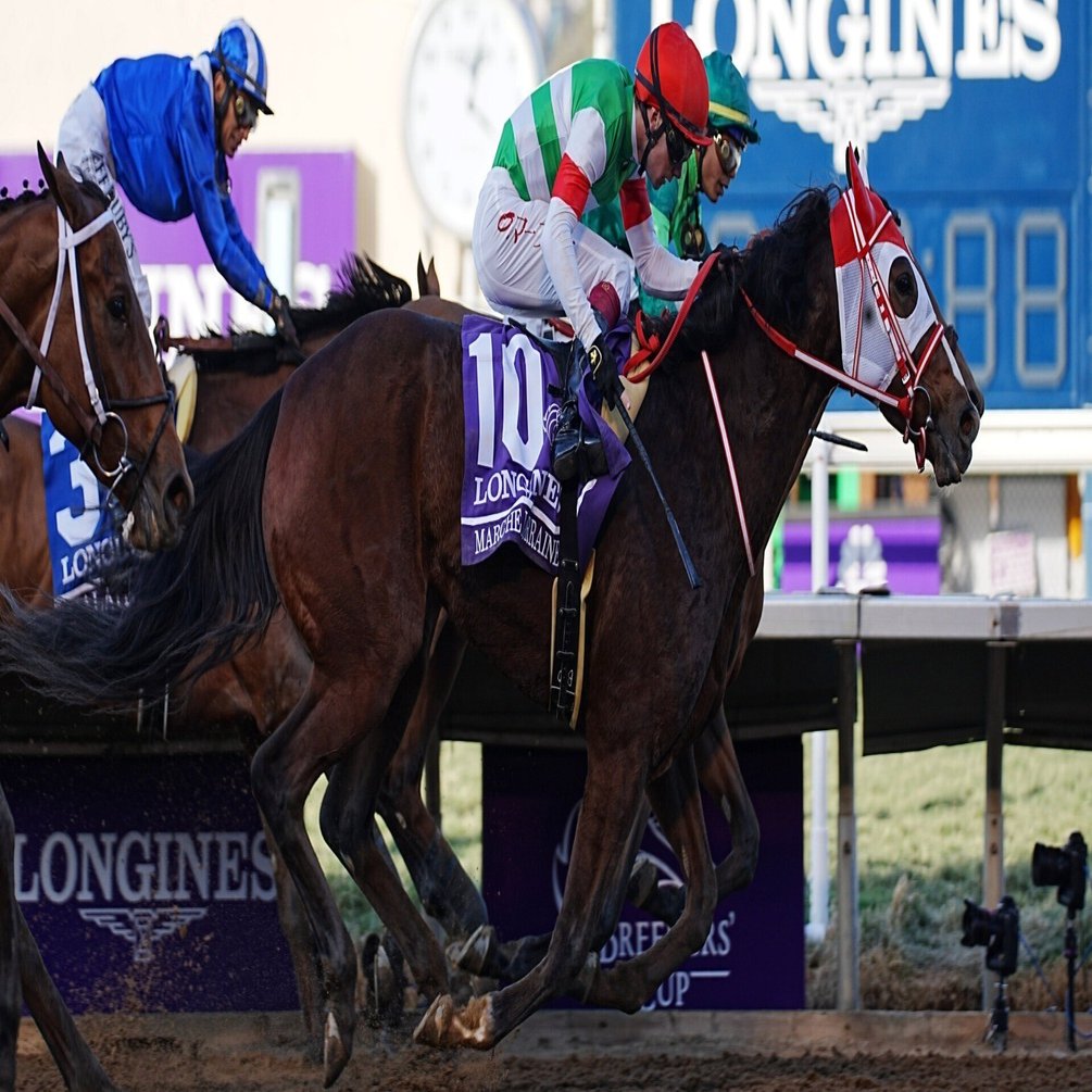 第17回 浦和記念 優勝馬 ホクトベガ 的中馬券 - メルカリ