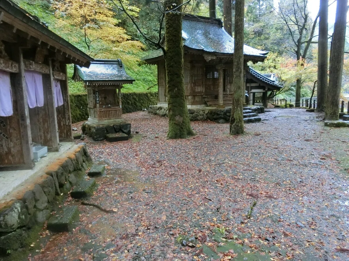 画像48