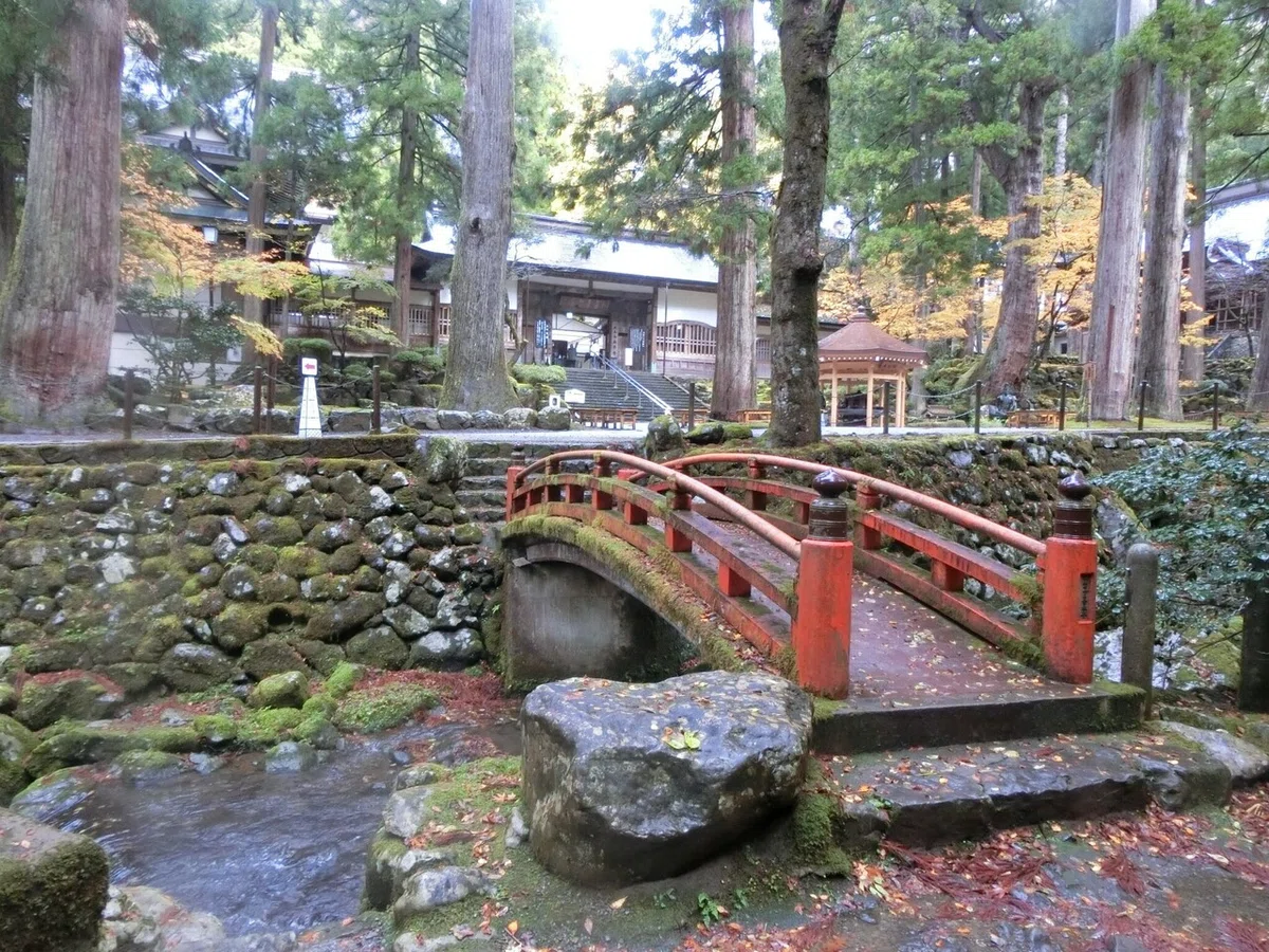 画像49