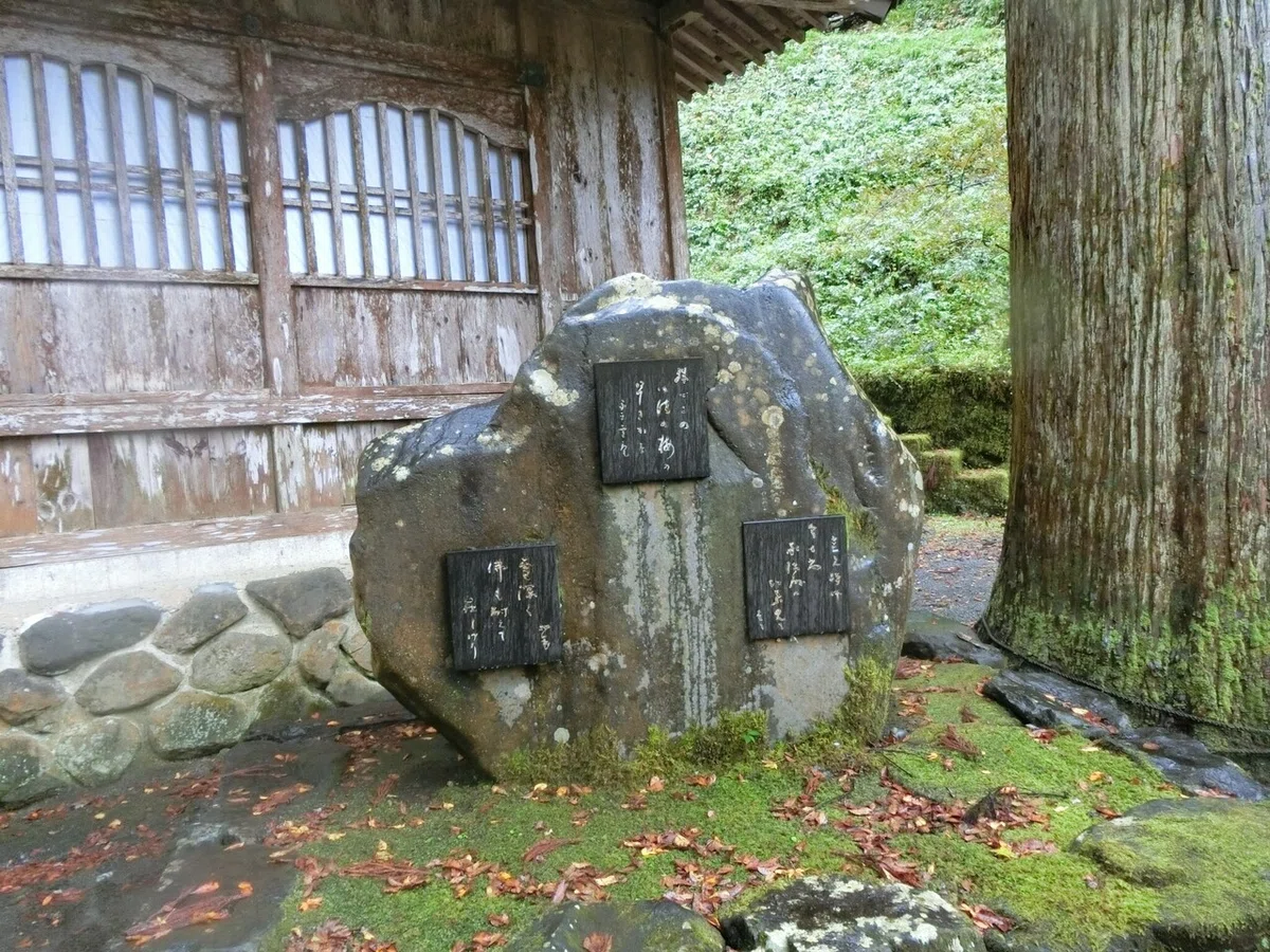 画像52