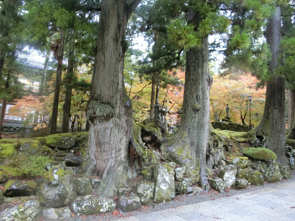 画像54