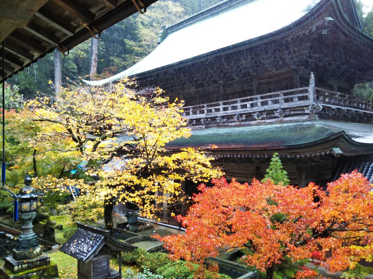 画像55