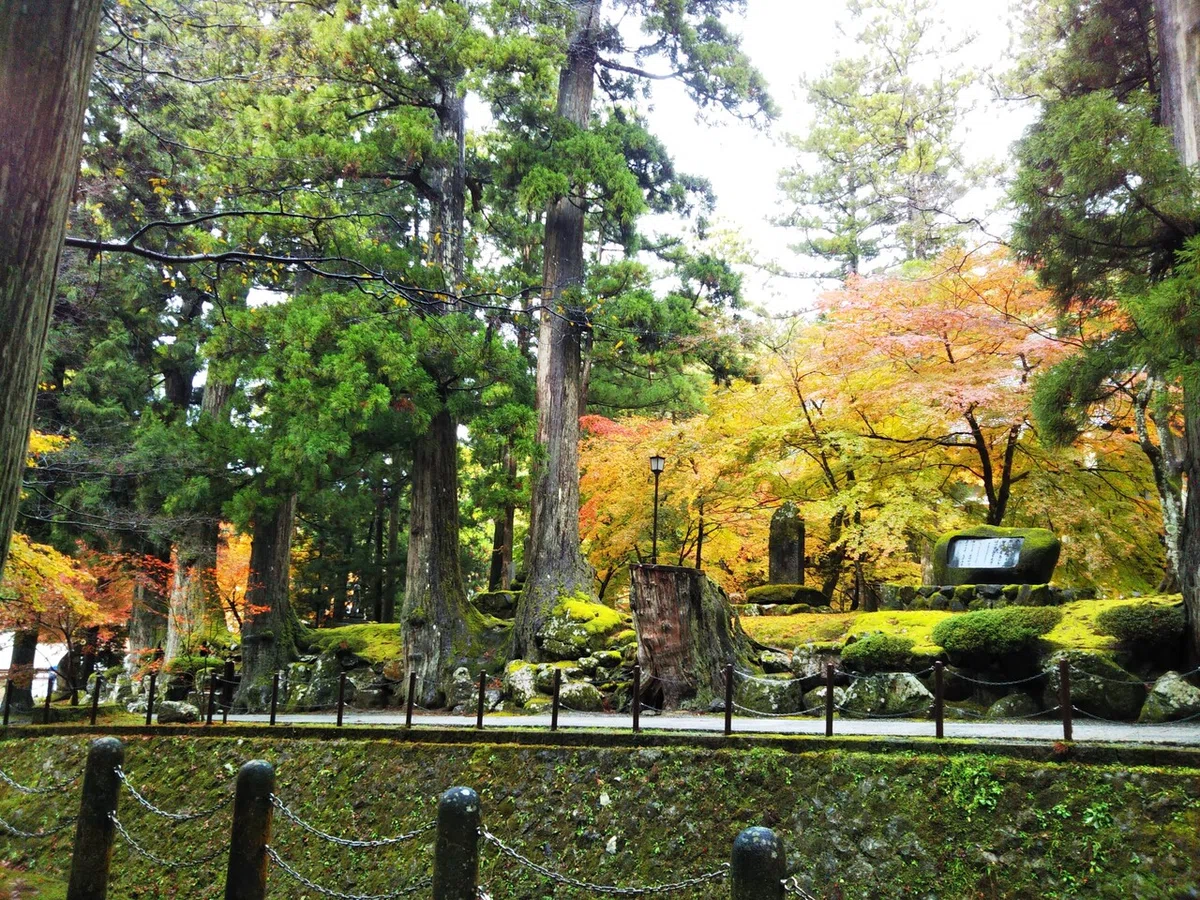 画像55