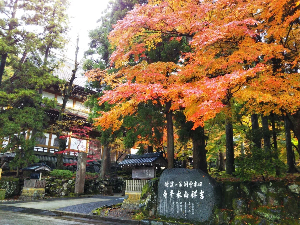 画像56