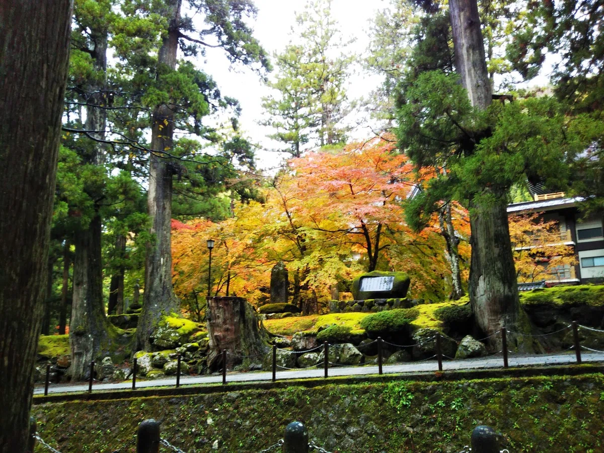 画像57