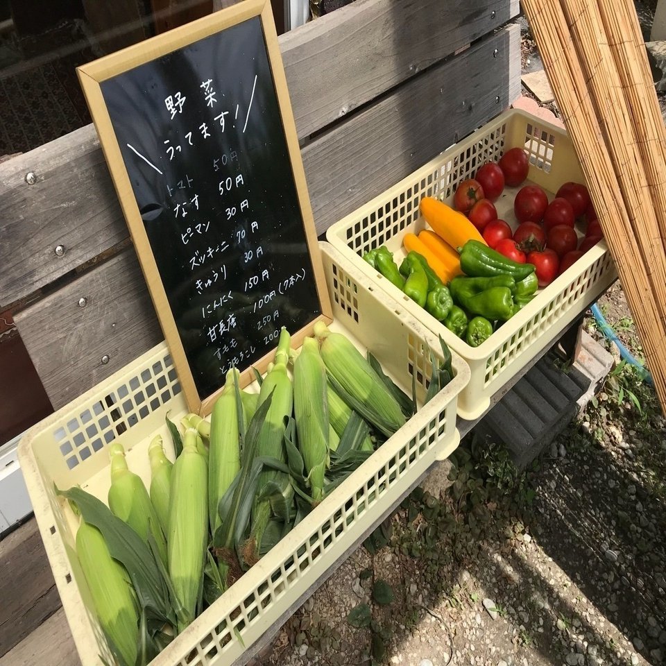 天然酵母 国産小麦 自家製小麦 野菜のパンロードさん Seikotanaka Note