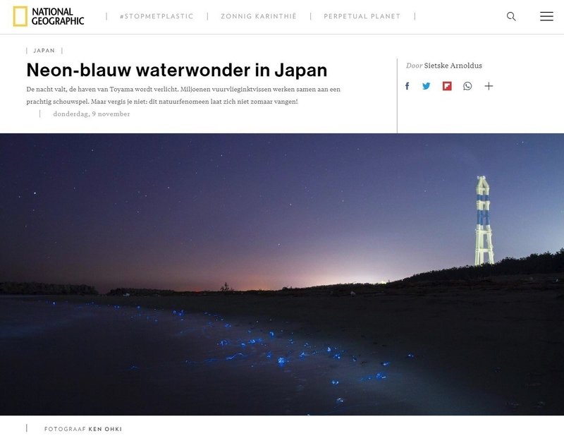 ホタルイカの身投げ を撮って後悔している話 大木賢 Note ホタルイカの身投げ を撮って後悔している話 大木賢 Note