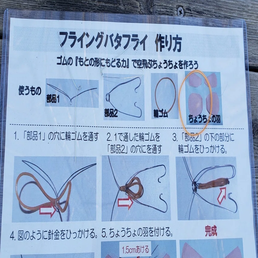 工作教室を行いました フライングバタフライ おおすぎ 科学と非科学のあいだ Note