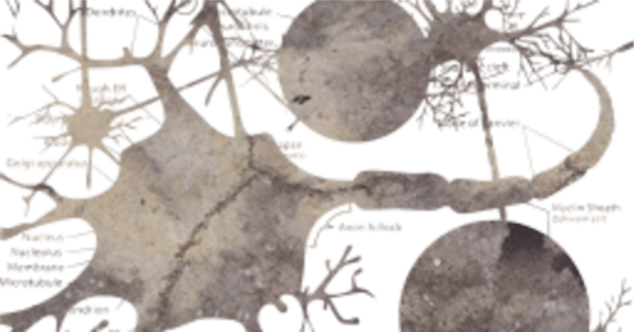 続・脳科学の未来(4)コネクトームという概念|山形方人 Masahito Yamagata, PhD