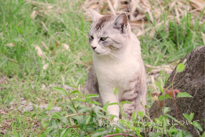 動物好きと子ども好きについて 人間対人間 君野ユウ エッセイスト Note
