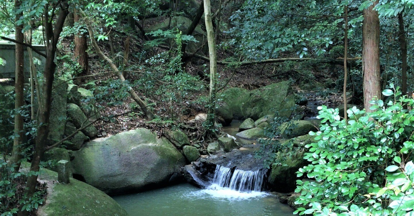 三豊市のオススメ神社 大水上神社 美しい森の中のパワースポット 週刊みとよ ほんまモンradio 三豊市のオススメ神社 大水上神社 美しい森の中のパワースポット 週刊みとよ ほんまモンradio