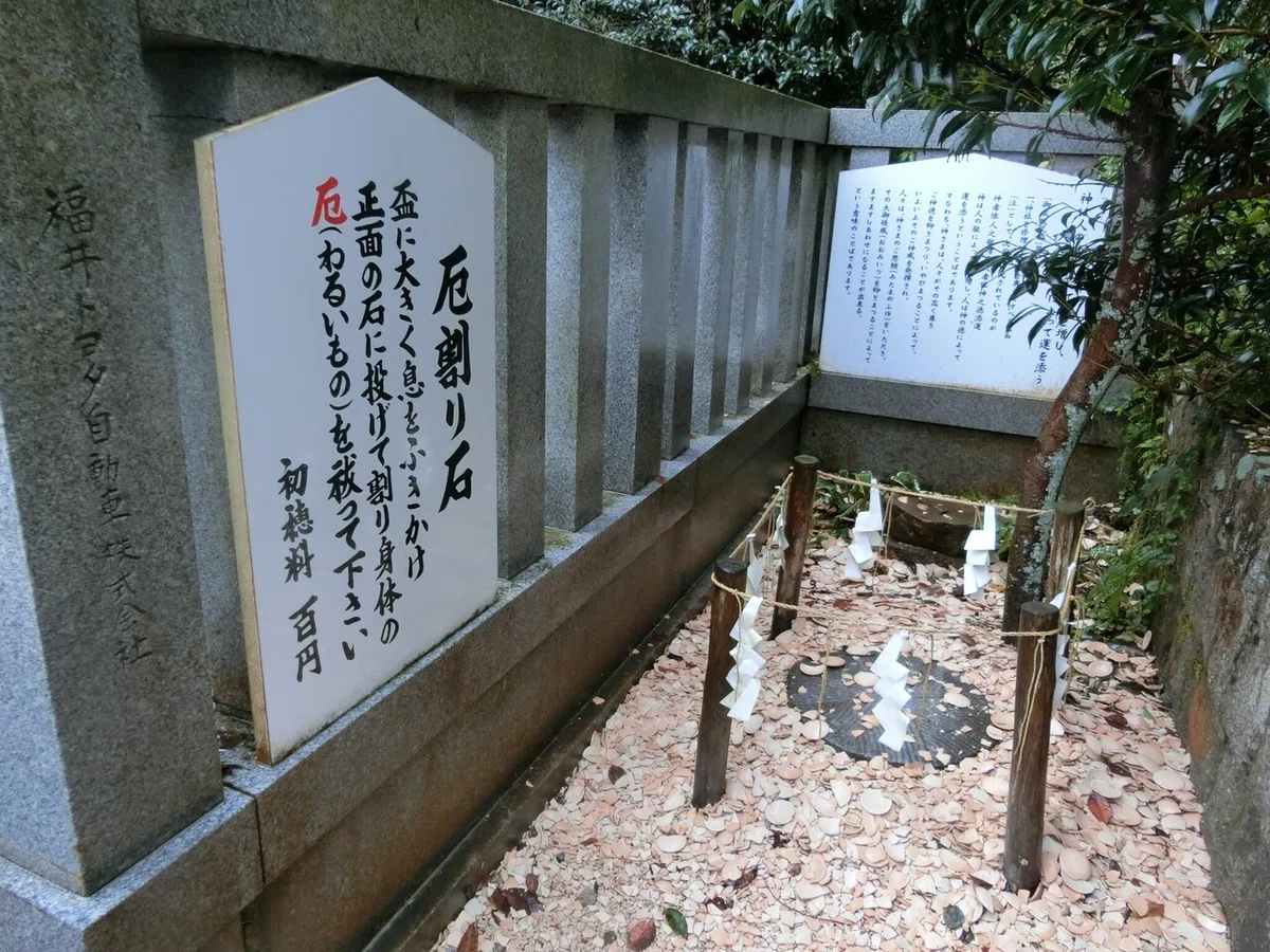 画像6