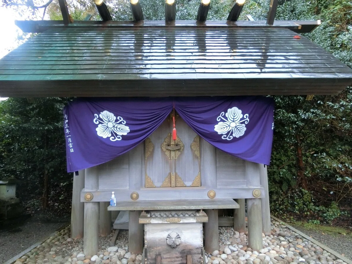 画像7