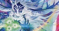 黒緑ツインパクト徹底解説｜kaisindon