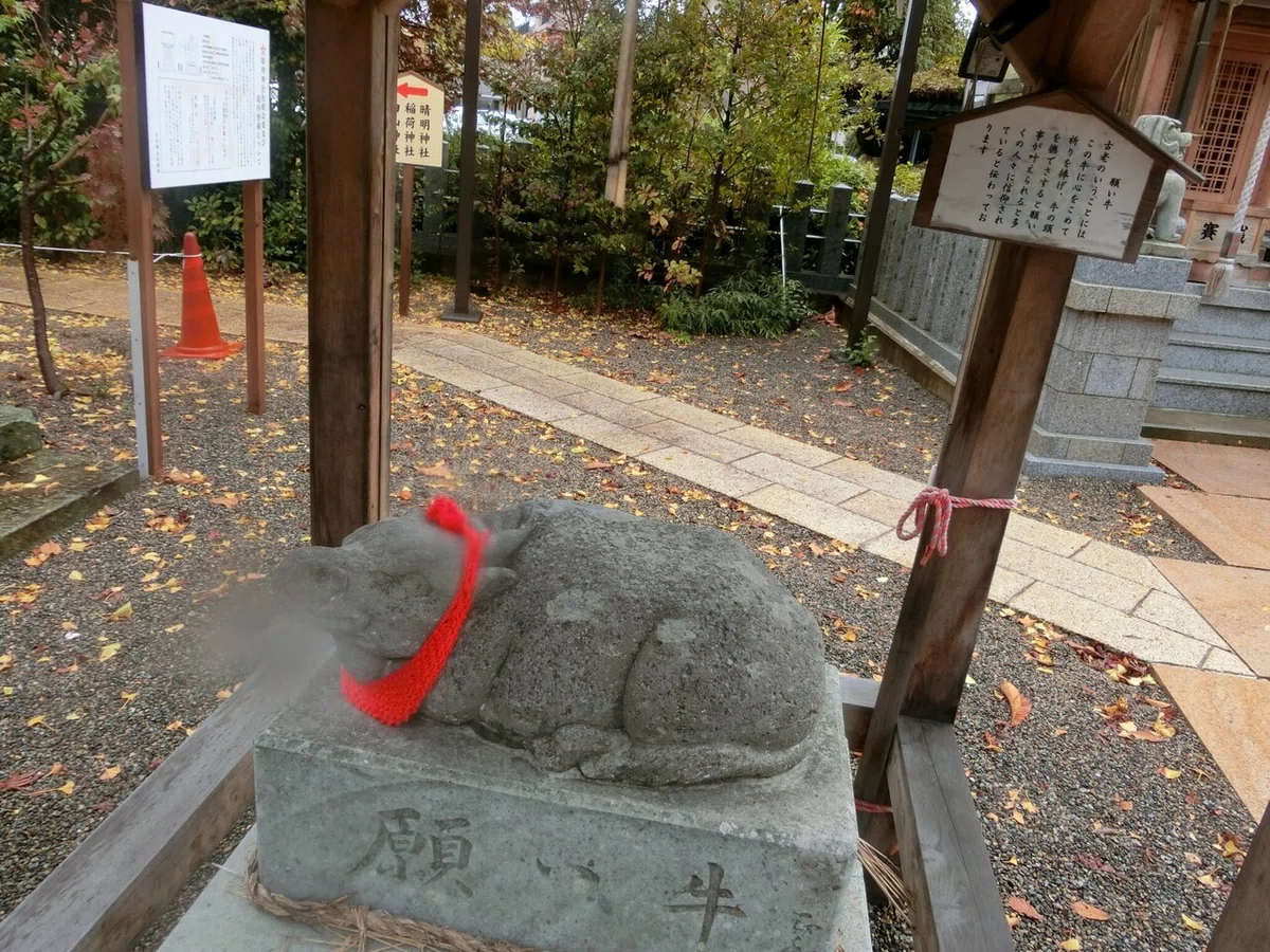 画像5