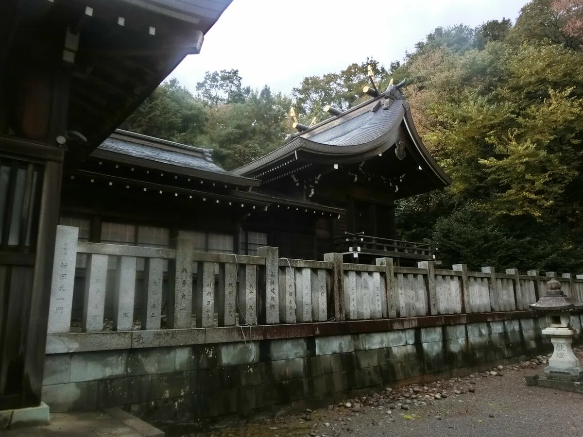 画像7