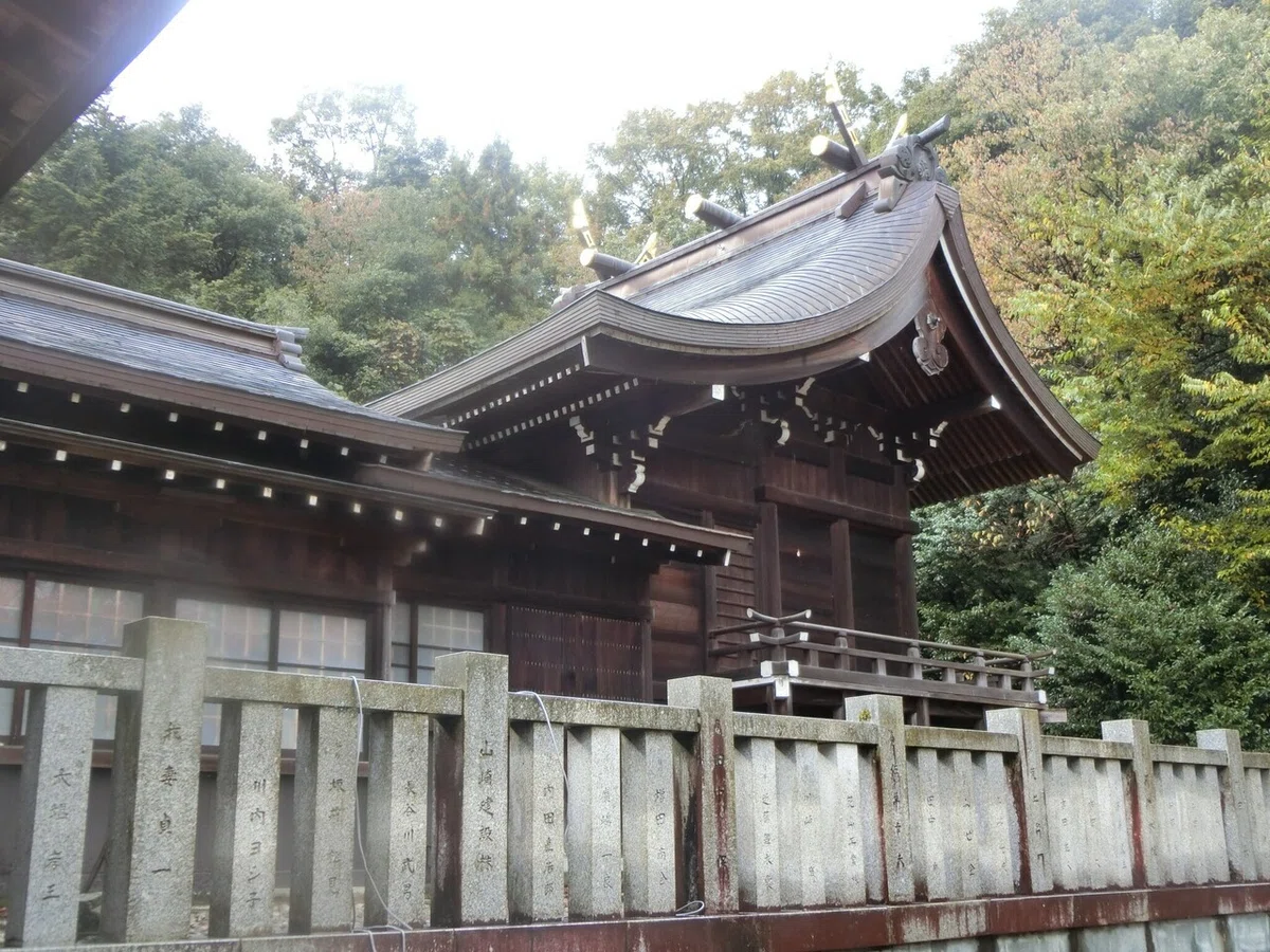 画像8