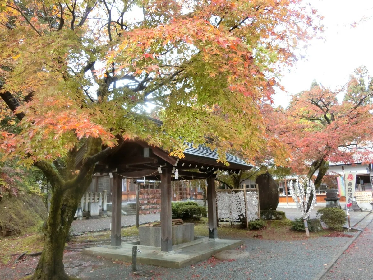 画像1