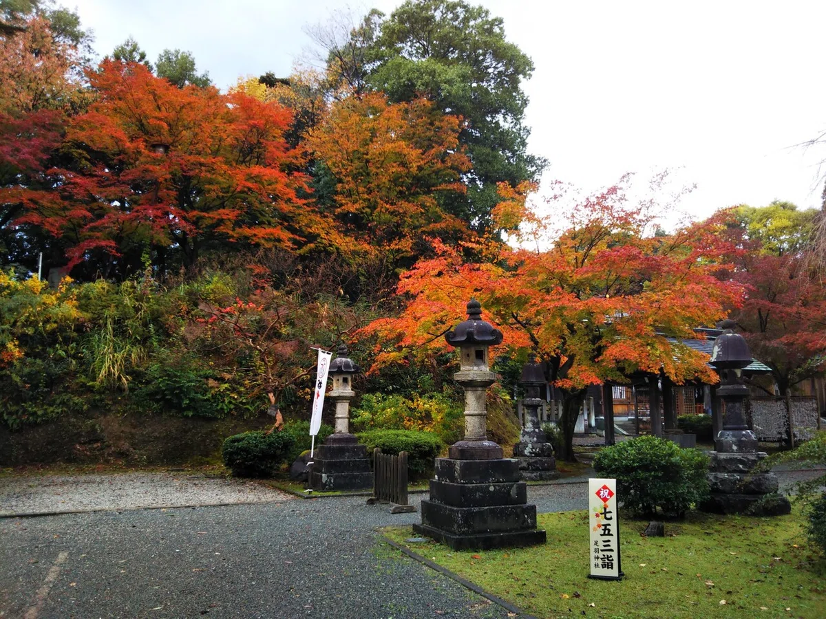 画像3
