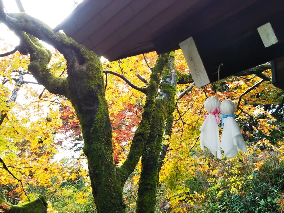 画像4