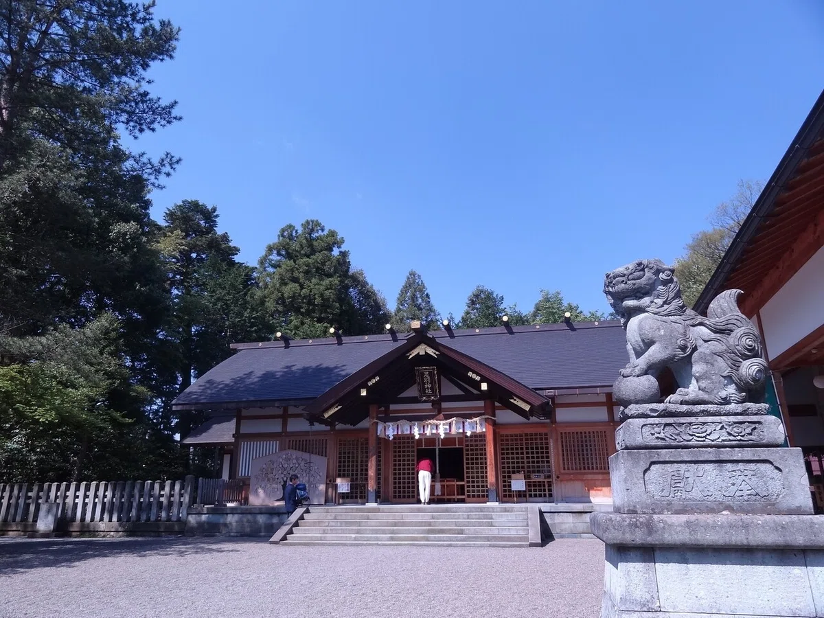 画像6