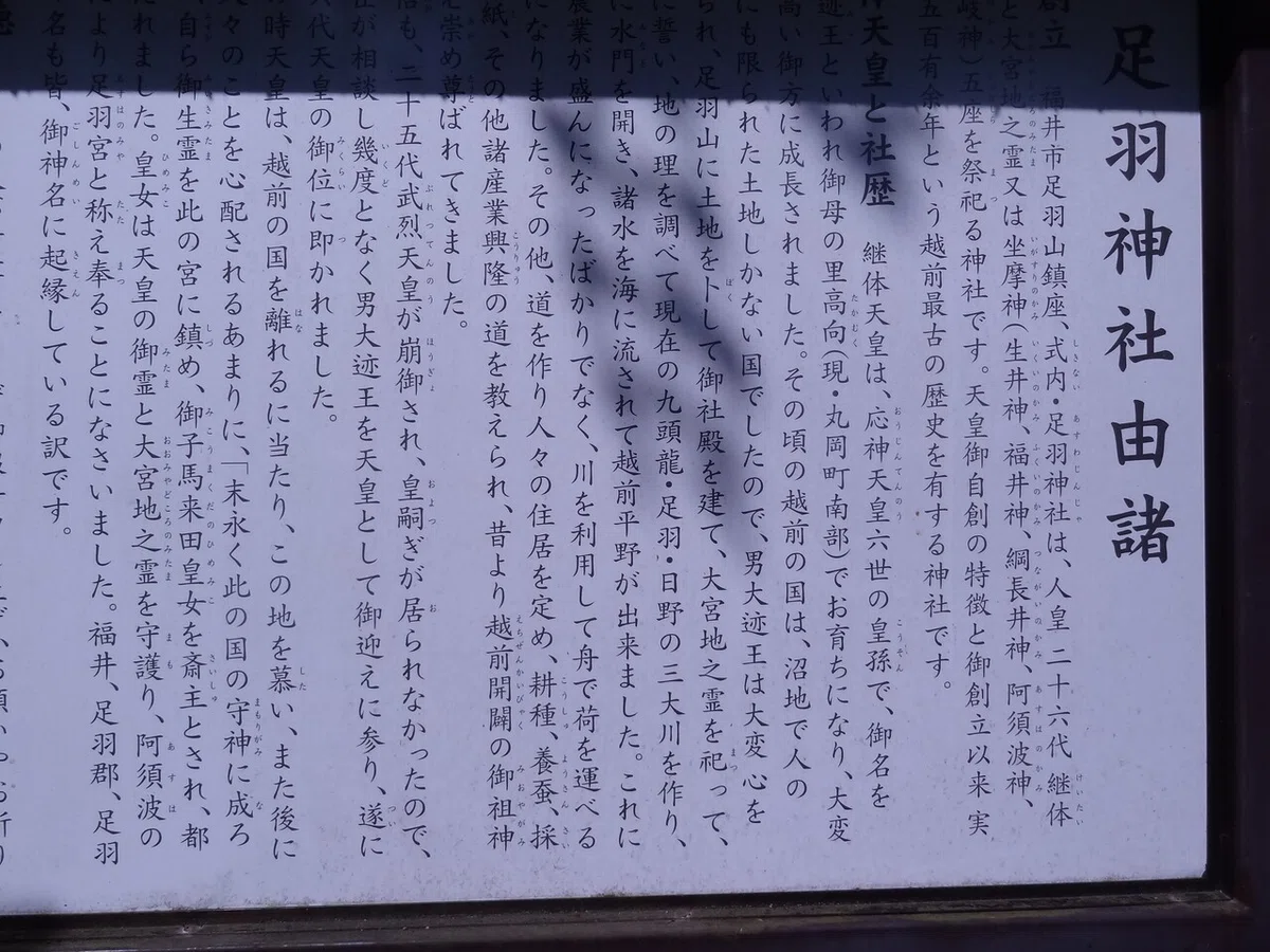画像7