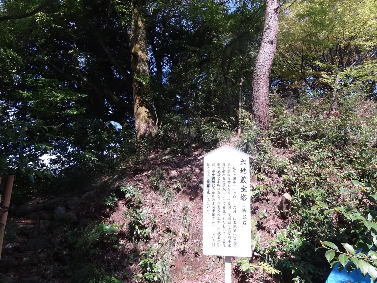 画像8