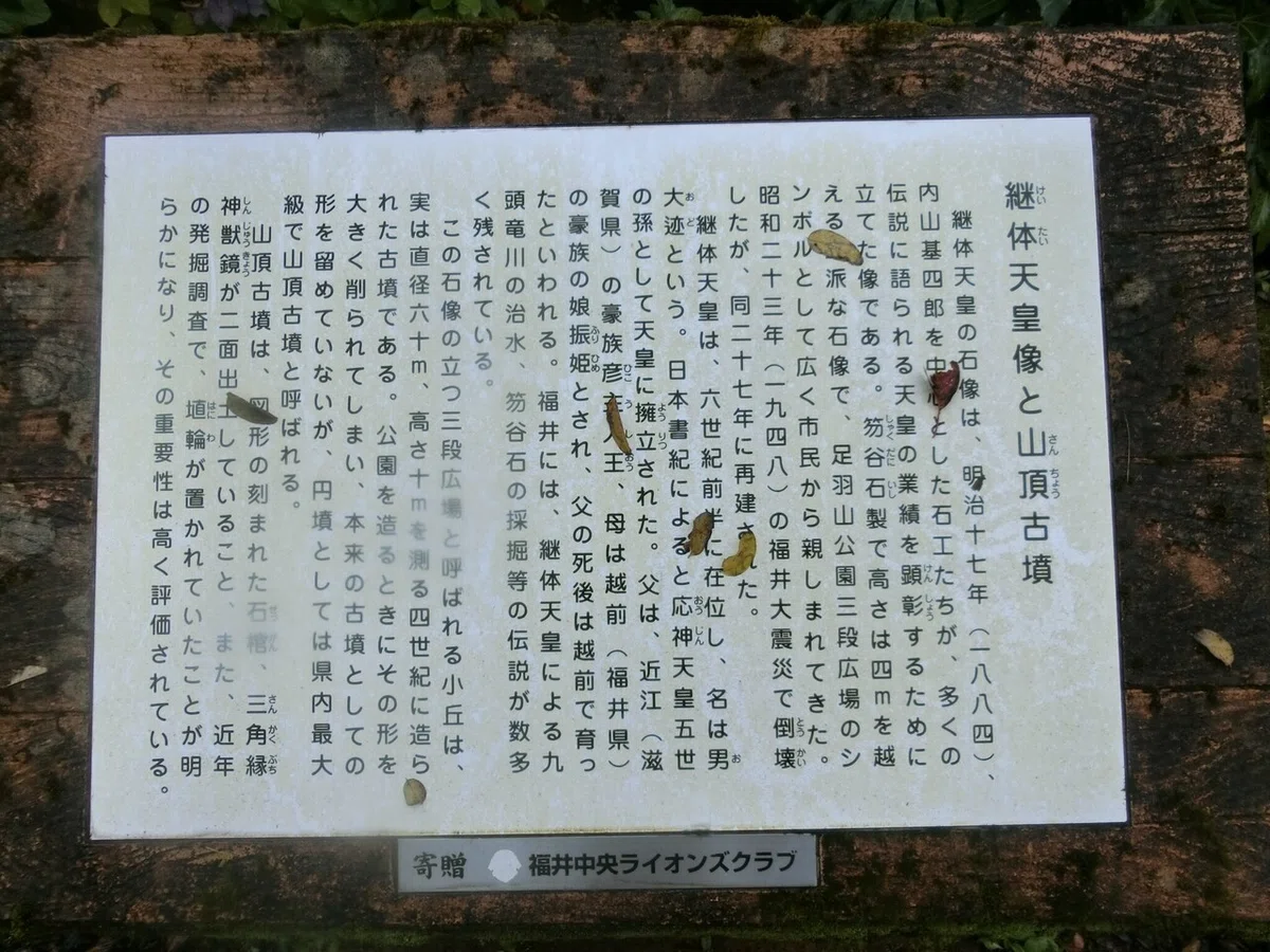 画像12