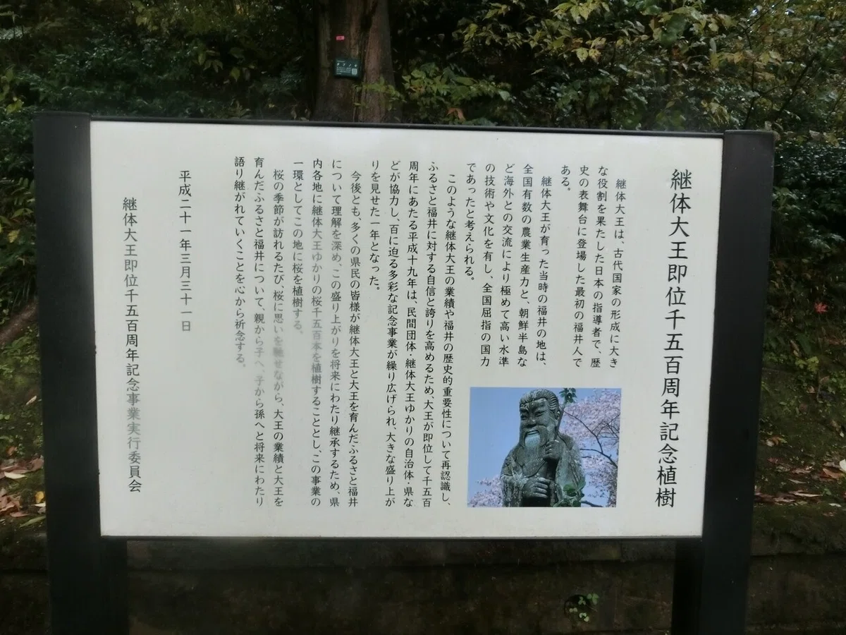 画像13