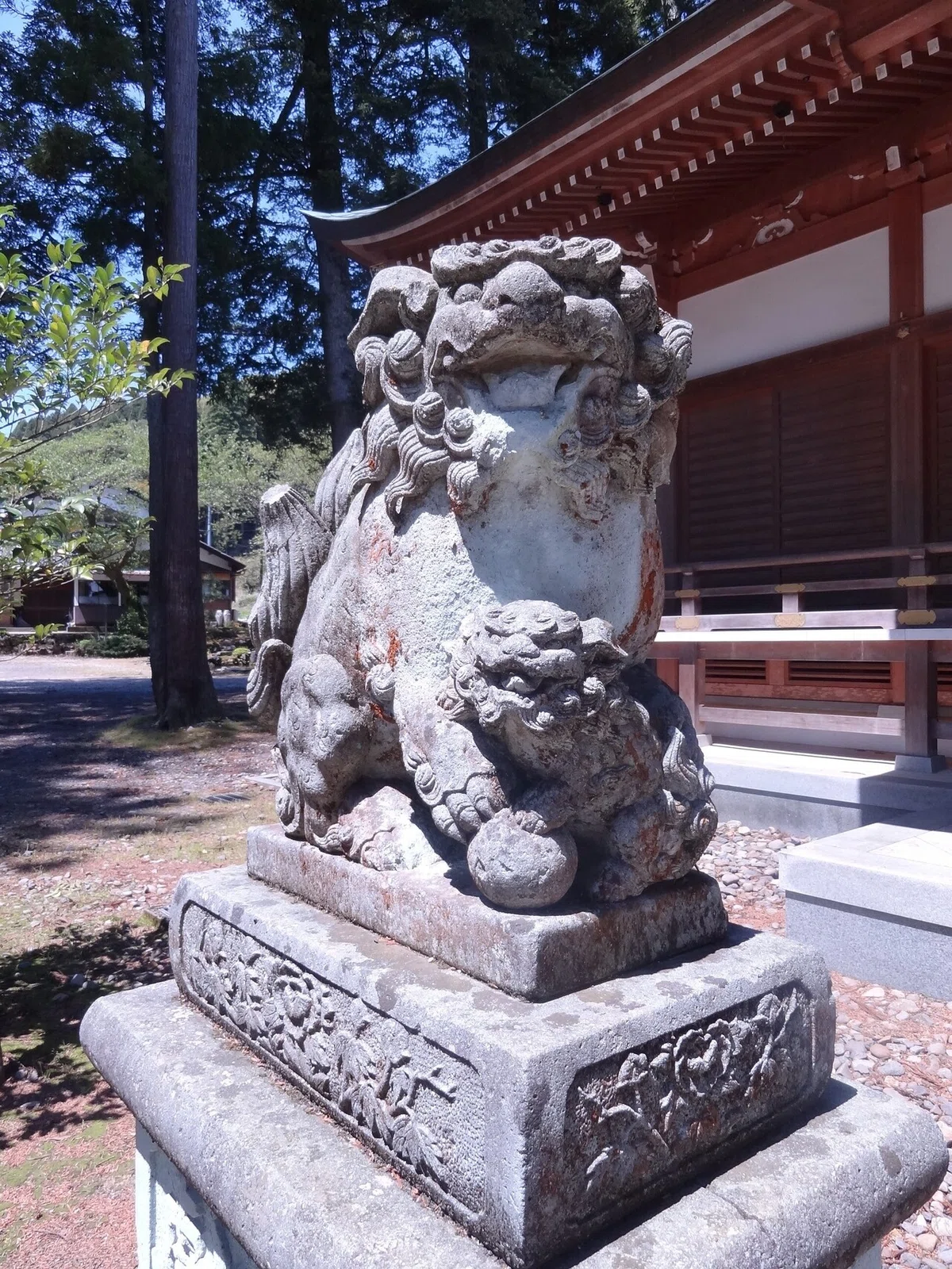 画像4