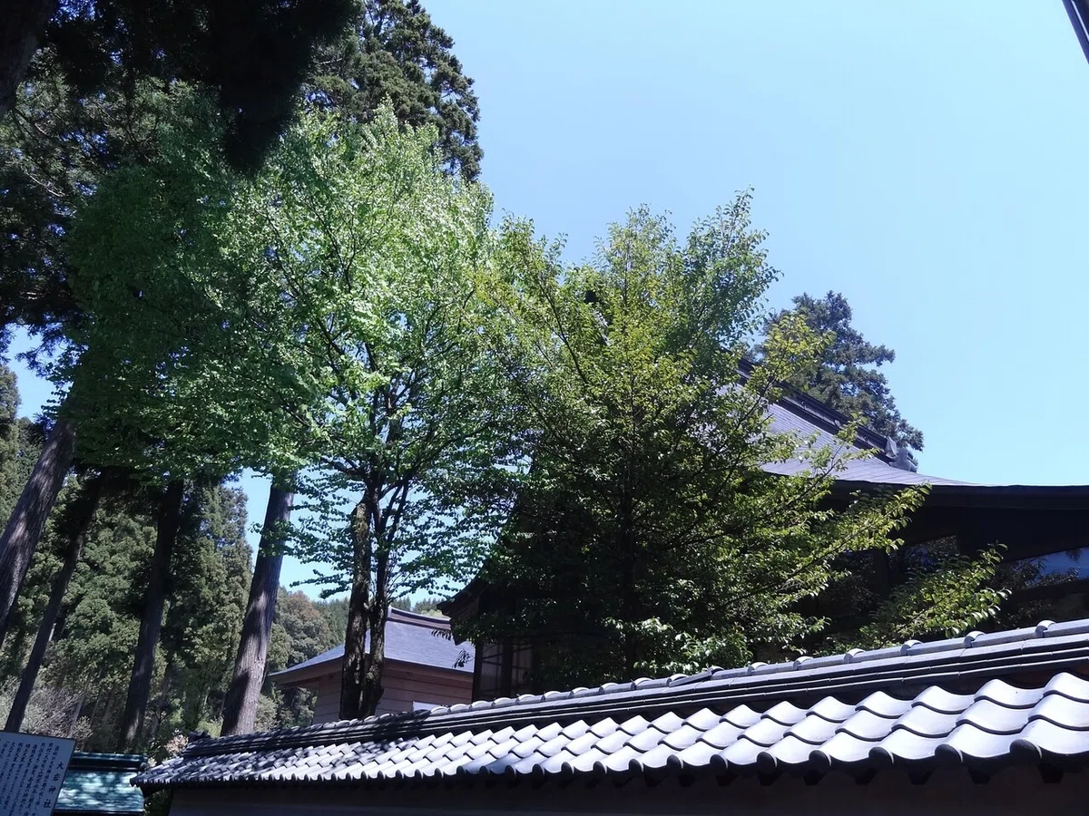 画像6