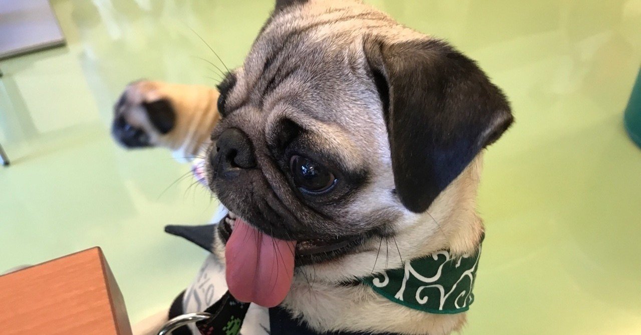 パグを愛する人は 心清き人 ケンスケ コバヤシ パグ ピース Note