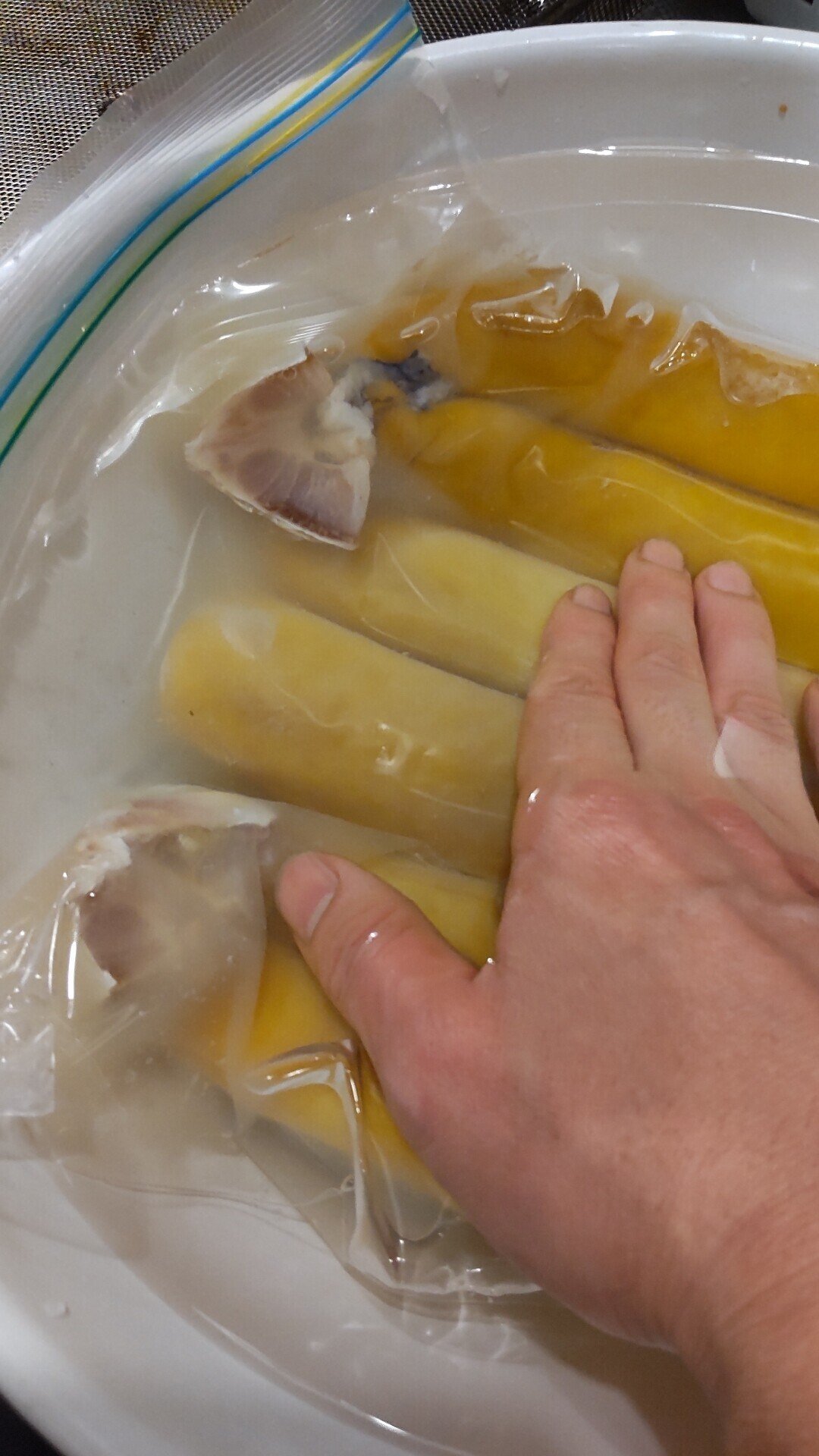 自家製カラスミの作り方（後編）｜ikeyadeli