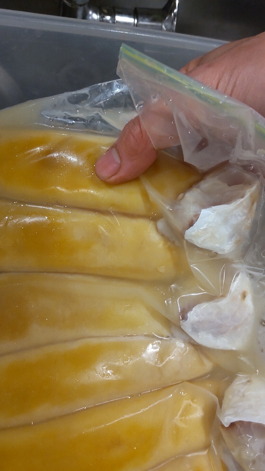 自家製カラスミの作り方（後編）｜ikeyadeli