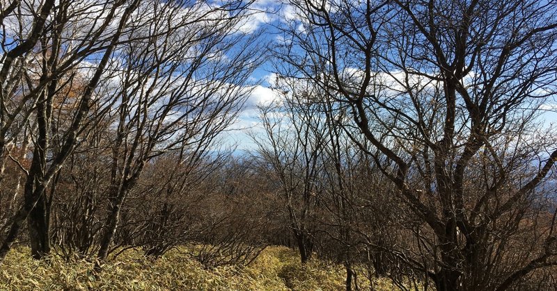 紅葉目指して下れ、下れっ！霧降高原