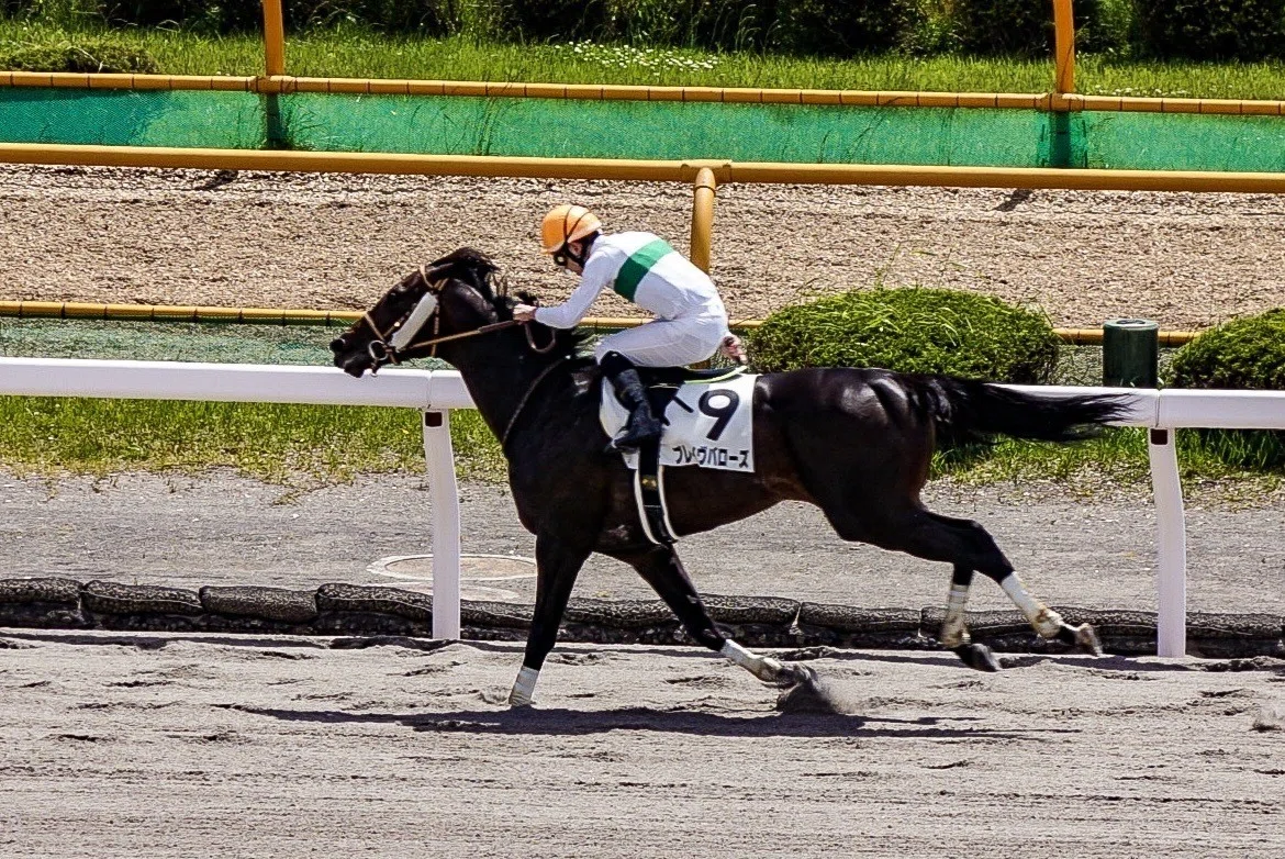 【馬神Horsetagram】2018.6.16 ブレイヴバローズ 500万下@函館競馬場(ダート1000m)|馬神 傑