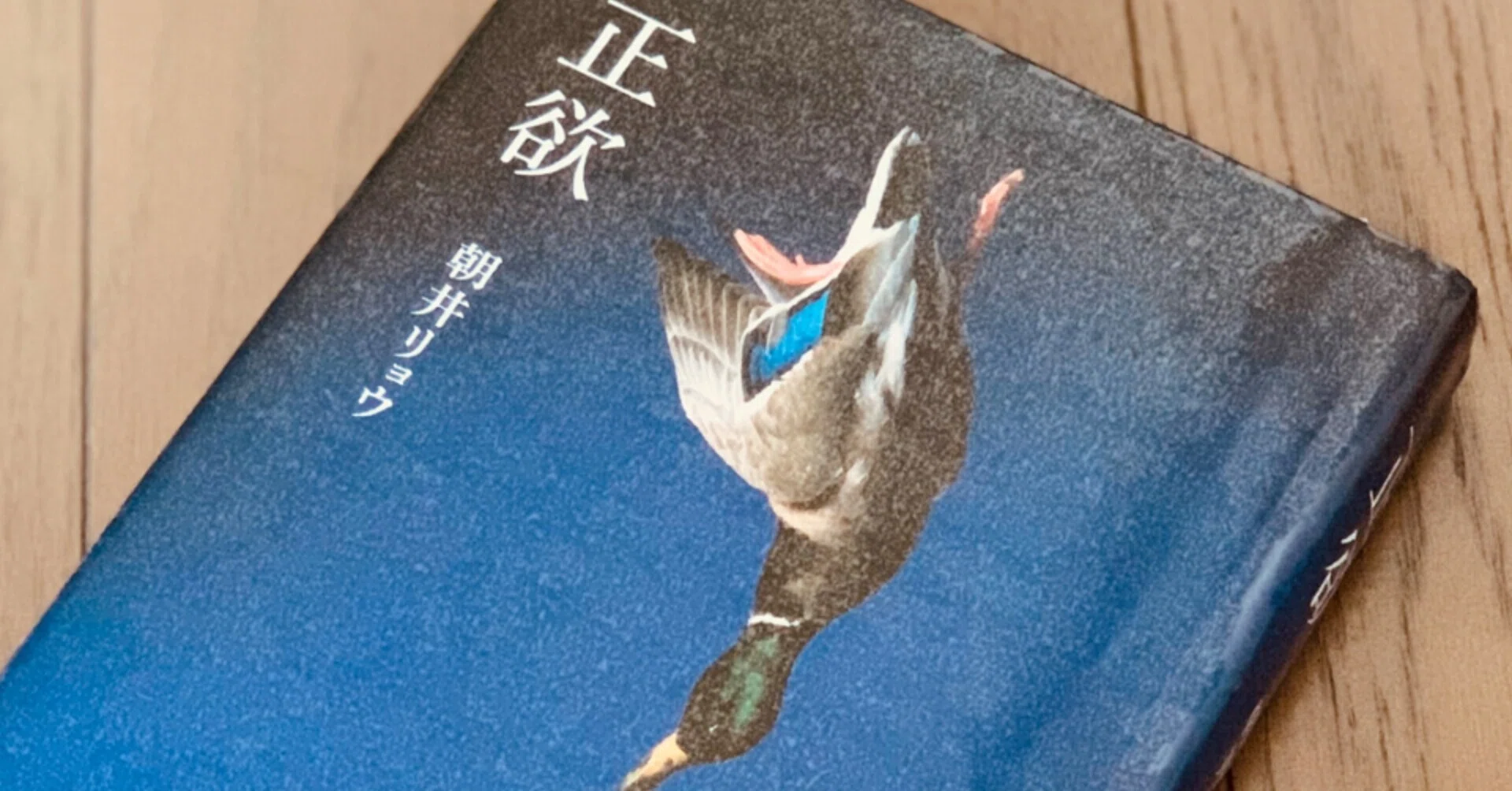 読書録】『正欲』朝井リョウ｜サザヱ