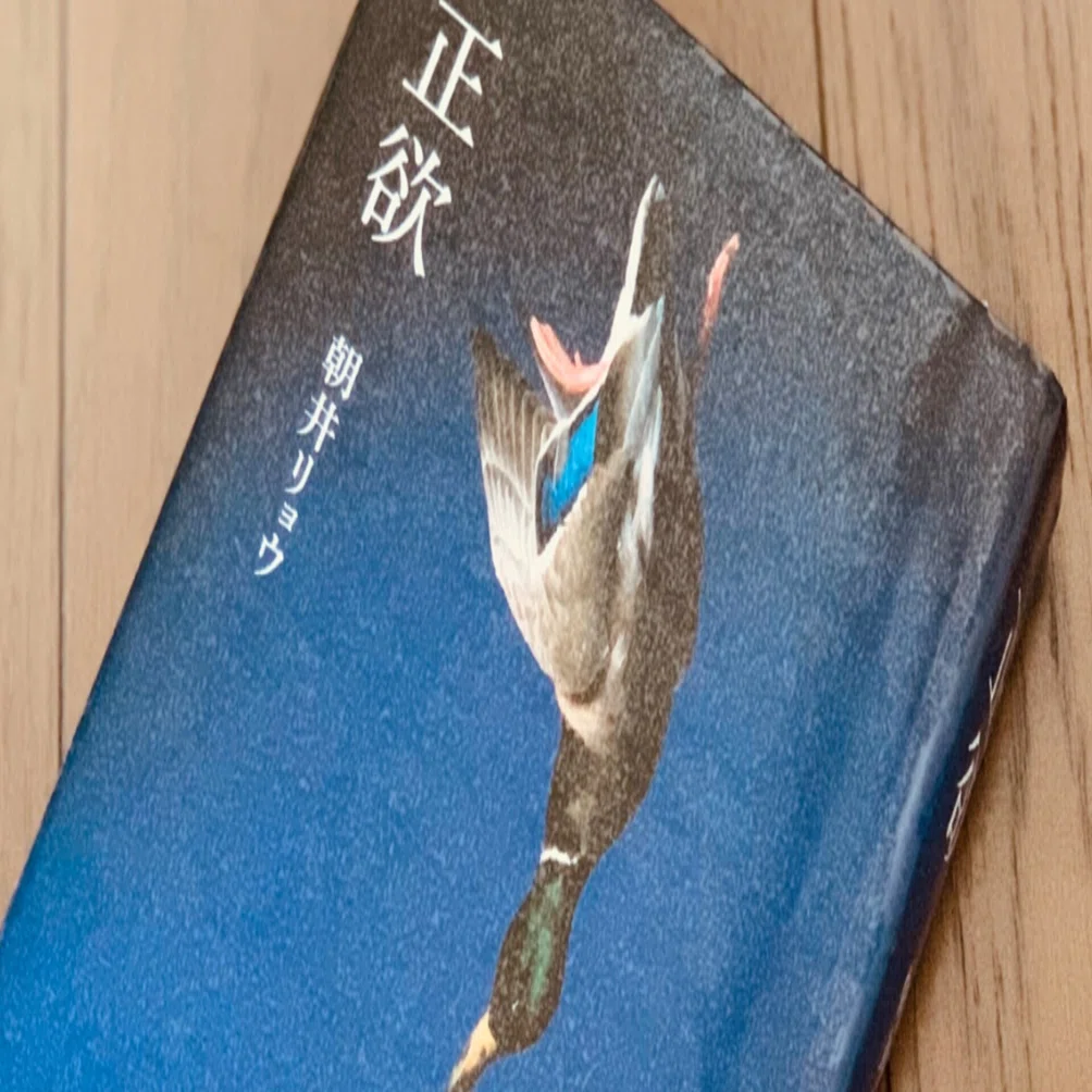 正欲 朝井リョウ 著　初版 正欲 朝井 リョウ(著) - 新潮社 | 版元ドットコム