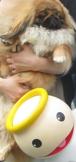 ミチビキエンゼル先輩と マミジロ Note