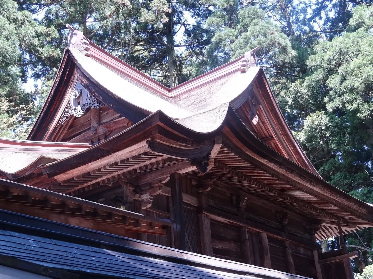 画像4