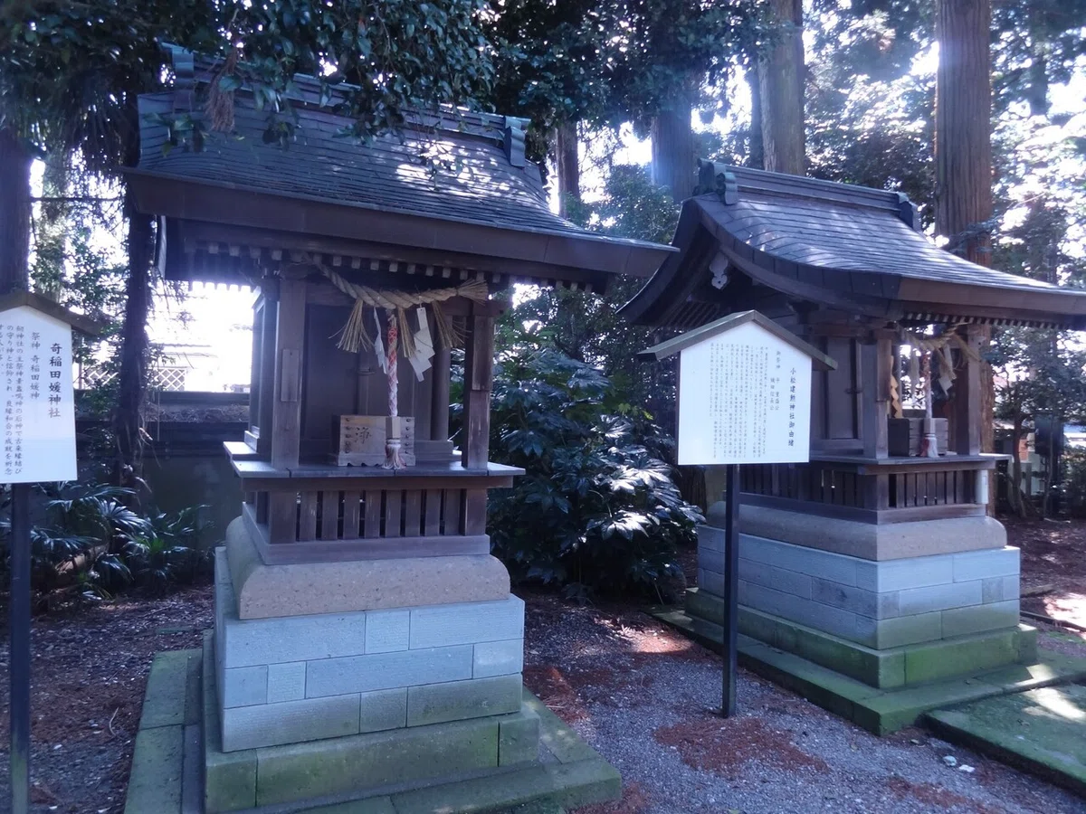 画像7