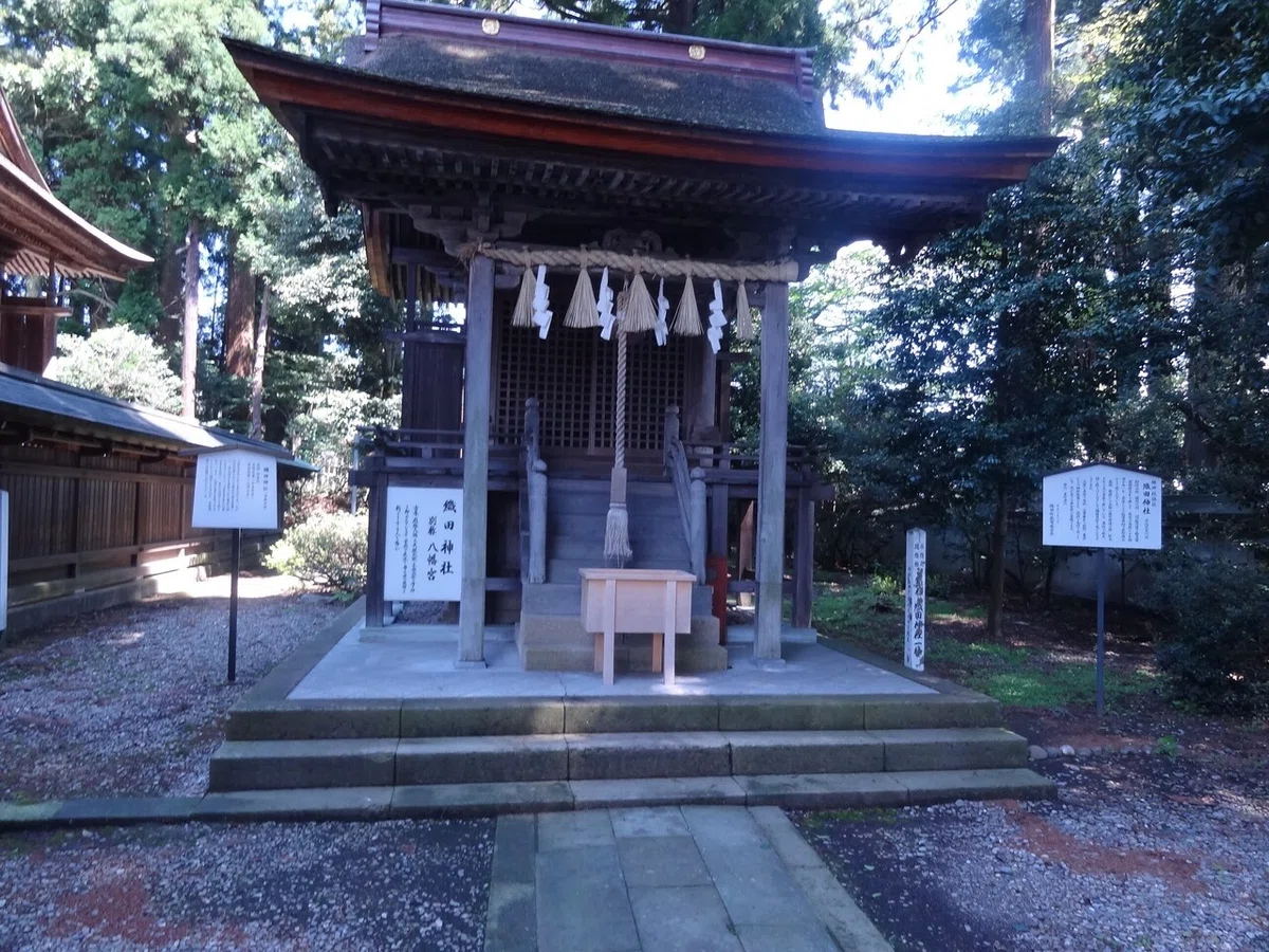 画像8