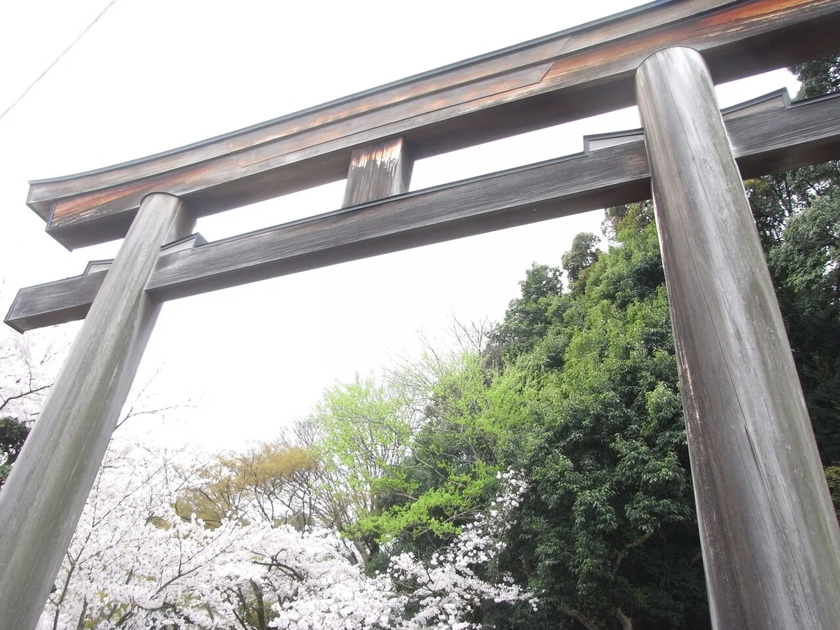 画像12