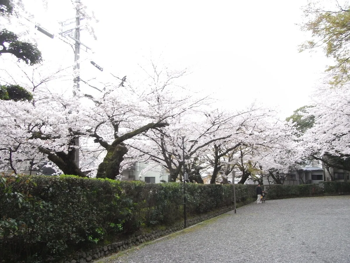 画像14
