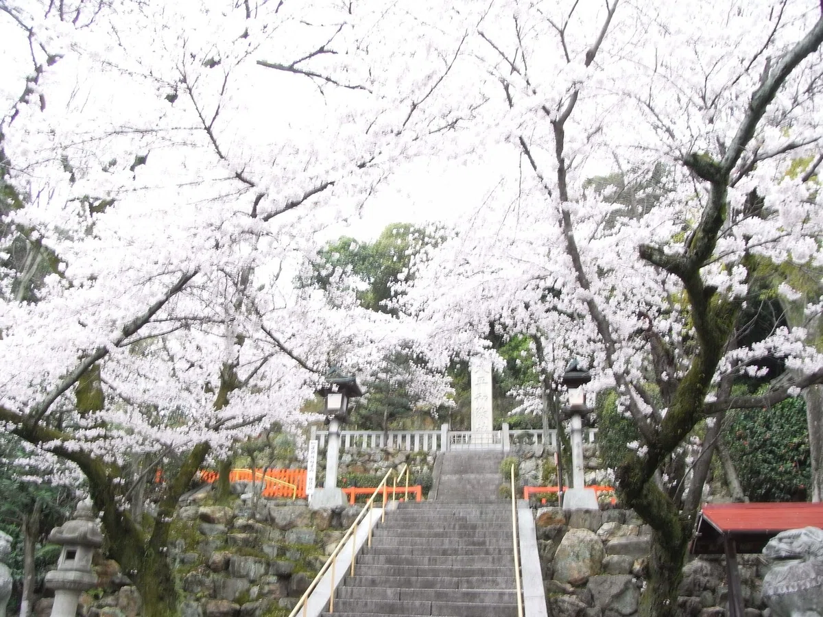 画像16