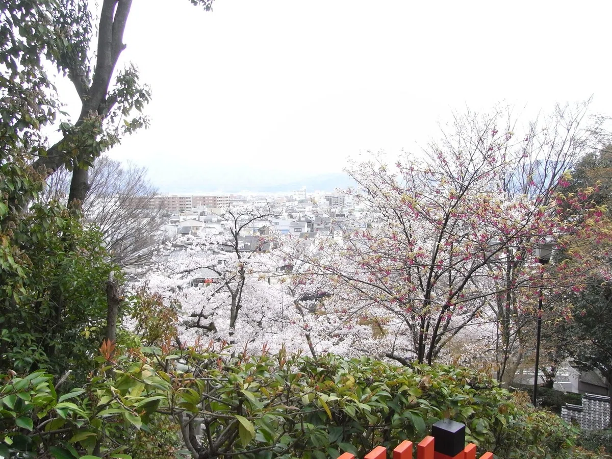 画像19