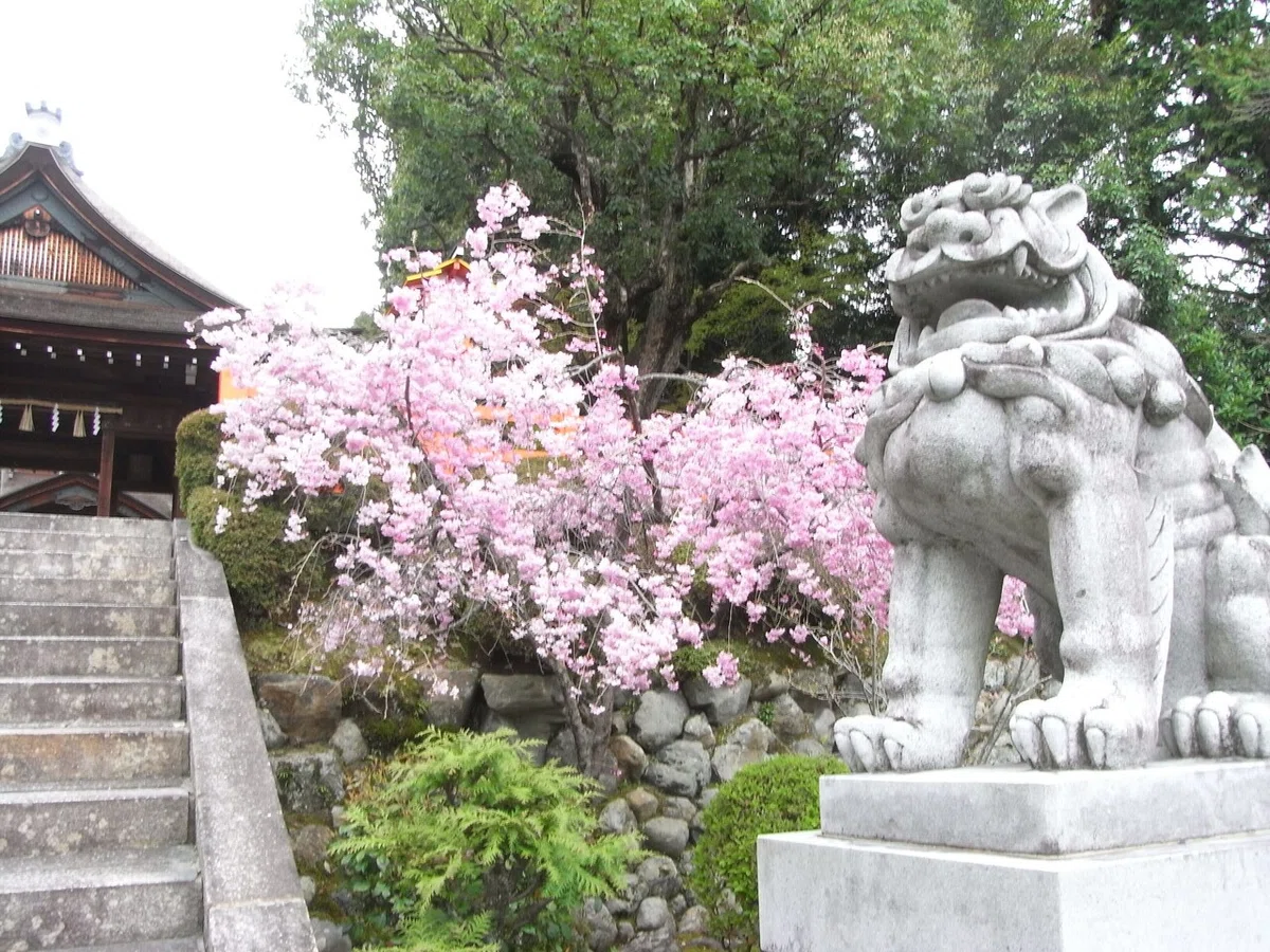 画像22