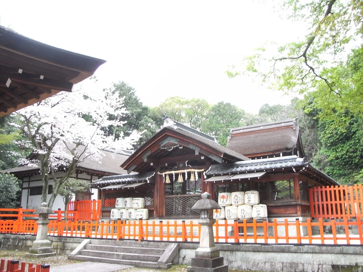 画像26