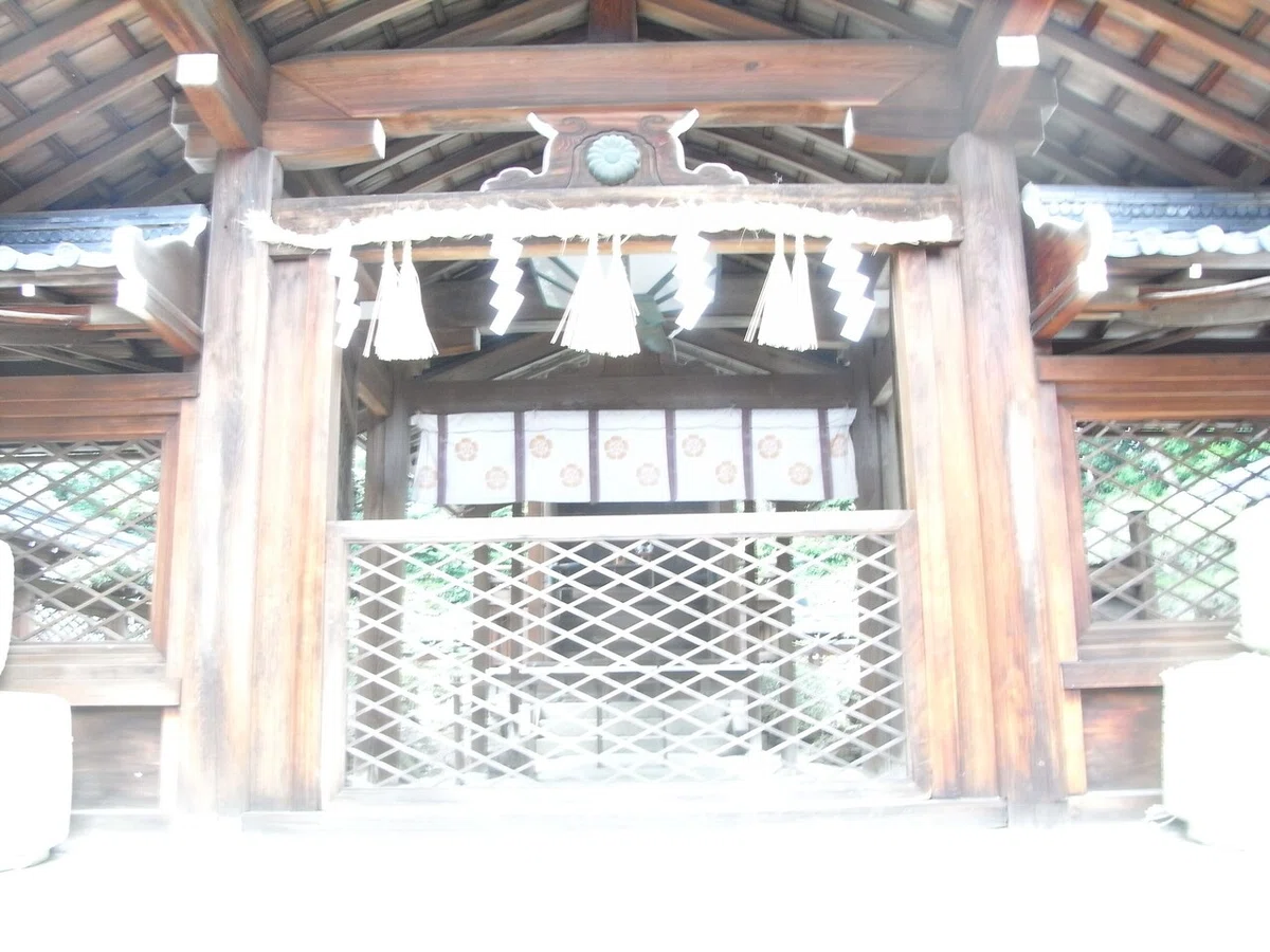 画像27